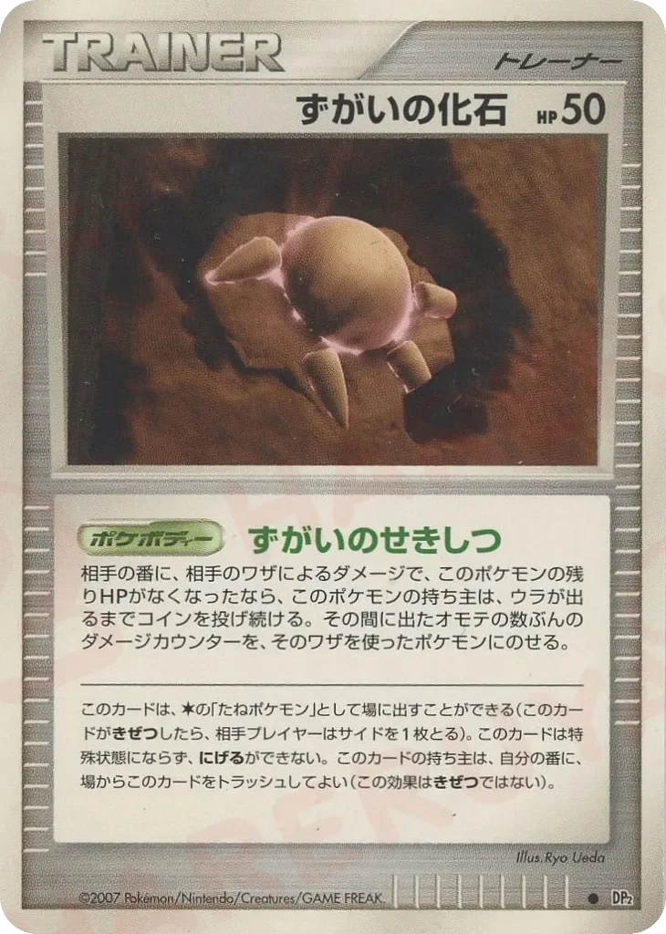 Skull Fossil 「DP2 No. 119」「JP」